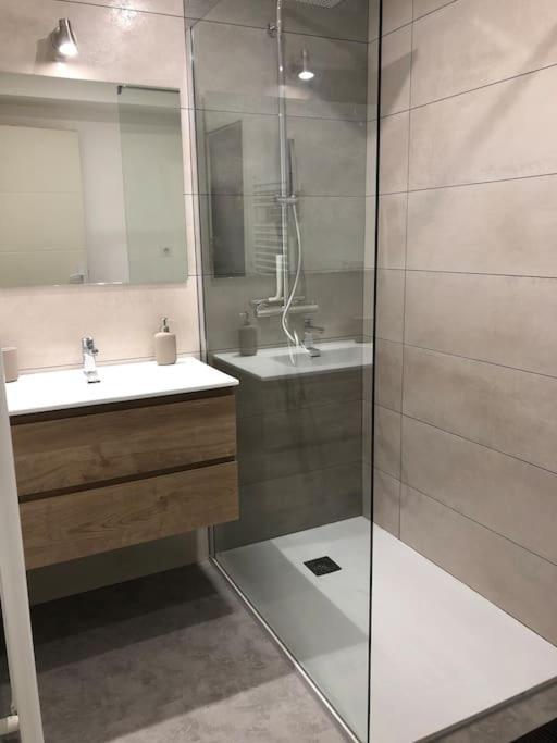 Appartement Moderne & Lumineux 40M2 Centre Luxeuil מראה חיצוני תמונה