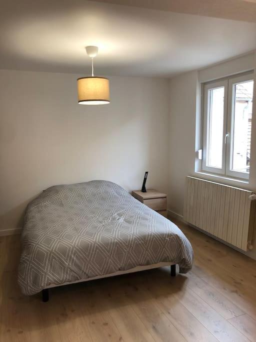 Appartement Moderne & Lumineux 40M2 Centre Luxeuil מראה חיצוני תמונה
